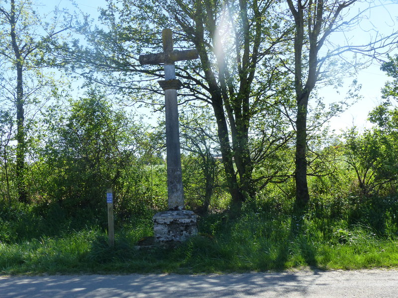 1742211781.jpg